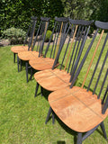 Set of five Ercol Goldsmith Dining Chairs in Ash with a touch of gold